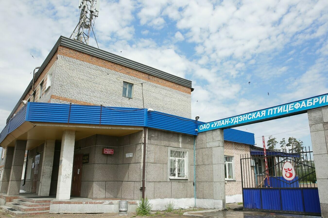 Описание изображения